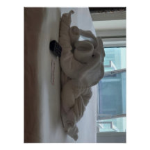 Reisende Schweinetüchertiere