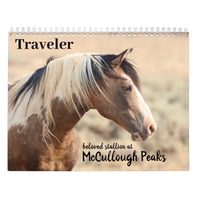 Reisende von McCullough Peaks Wild Horse Kalender (Titelbild)