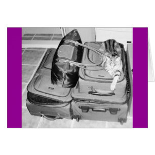 Reisender Indigostift