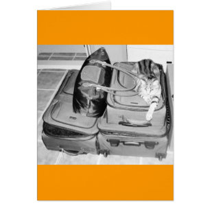 Reisender Indigostift