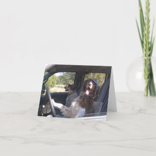 REISENDES BRITTANYS KARTE