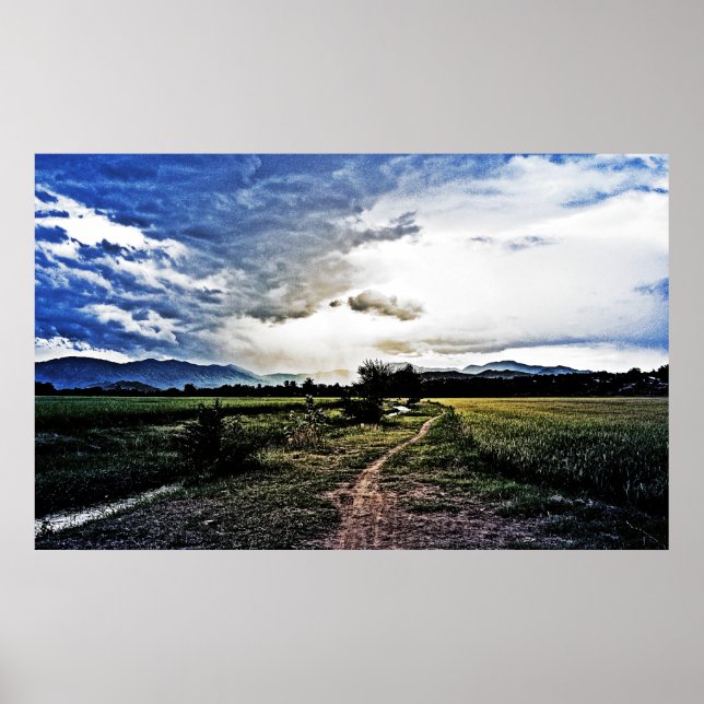 Reisfelder auf dem Weg Poster (Vorne)