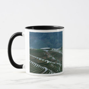 Reisfelderlandschaft im Gebirge, 2 Tasse