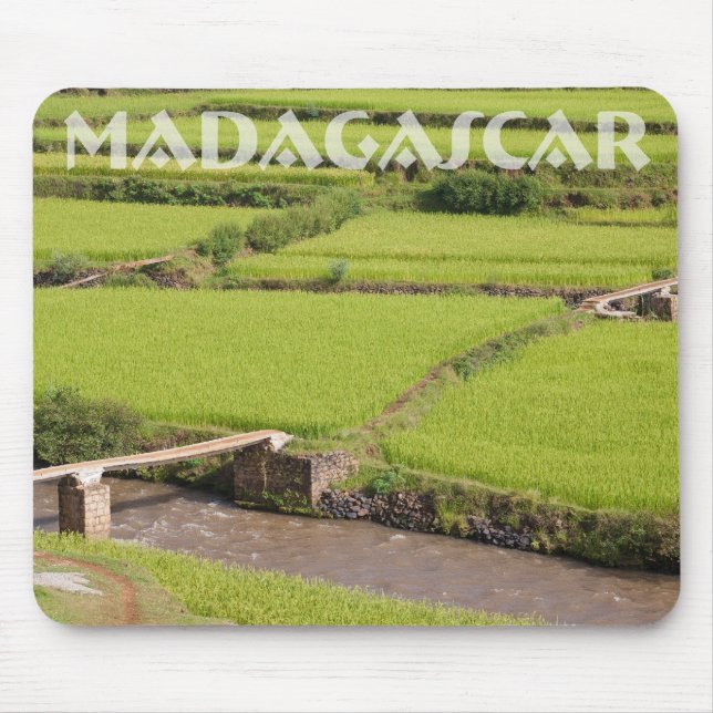 Reisfeldlandschaft in Madagaskar Mousepad (Vorne)