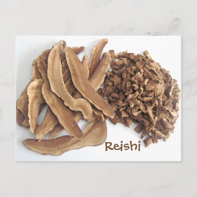 Reishi Mushroom Postkarte (Vorderseite)