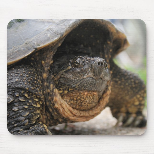 Reißende Schildkröte Mousepad (Vorne)