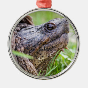 Reißende Schildkröte Silbernes Ornament