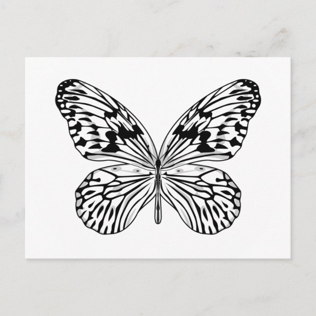 Reißpapier Schmetterling Postkarte (Vorderseite)