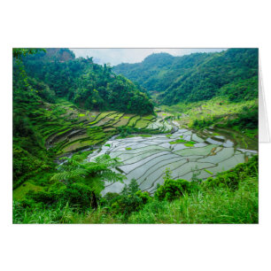 Reisterrassen-Landschaft, Philippinen
