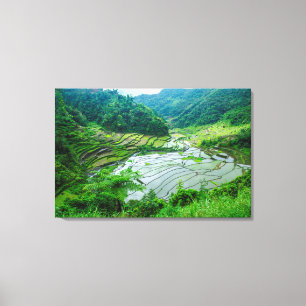 Reisterrassen-Landschaft, Philippinen Leinwanddruck
