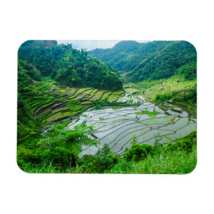Reisterrassen-Landschaft, Philippinen Magnet