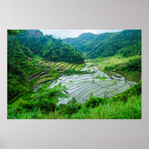 Reisterrassen-Landschaft, Philippinen Poster
