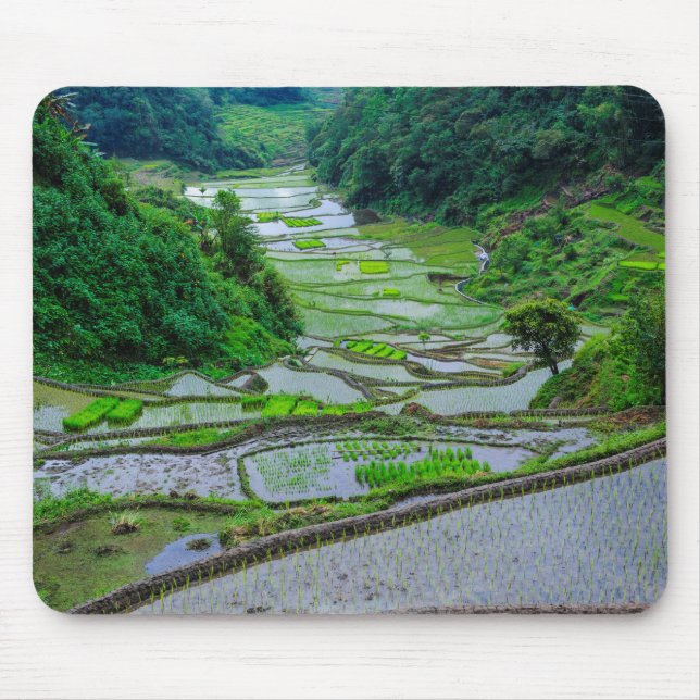Reisterrassen von Banaue, Luzon Mousepad (Vorne)