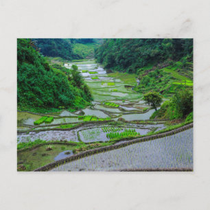 Reisterrassen von Banaue, Luzon Postkarte