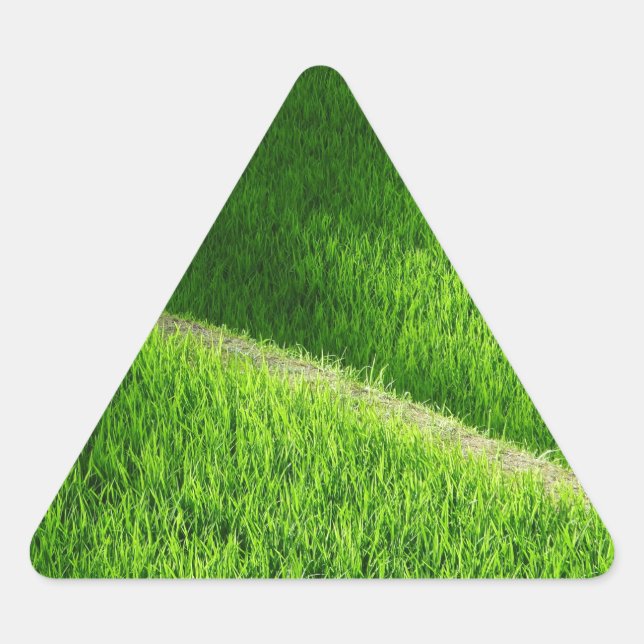 Reisterrassen Yamadas Reisfelder Japan Dreieckiger Aufkleber (Vorderseite)