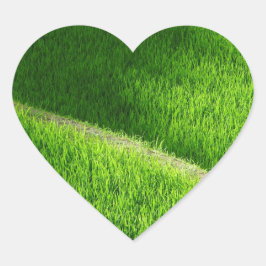 Reisterrassen Yamadas Reisfelder Japan Herz-Aufkleber