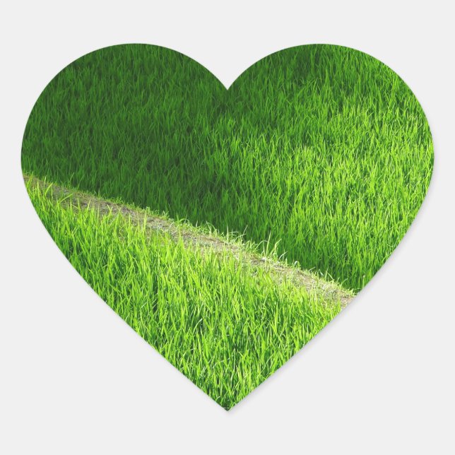 Reisterrassen Yamadas Reisfelder Japan Herz-Aufkleber (Vorderseite)