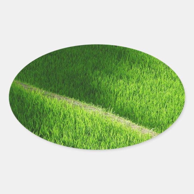 Reisterrassen Yamadas Reisfelder Japan Ovaler Aufkleber (Vorderseite)