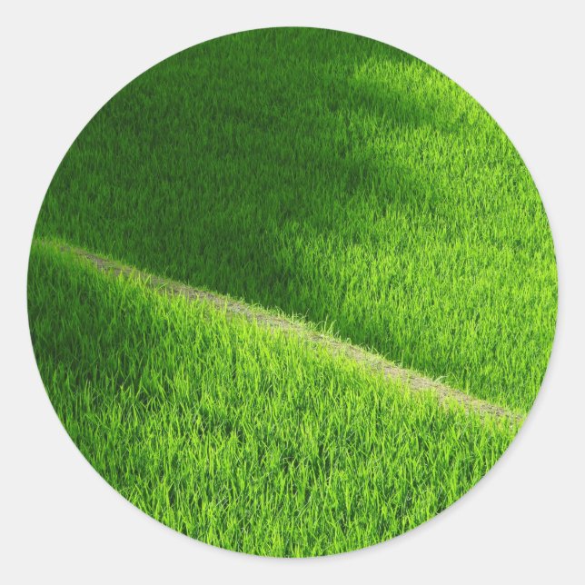 Reisterrassen Yamadas Reisfelder Japan Runder Aufkleber (Vorderseite)