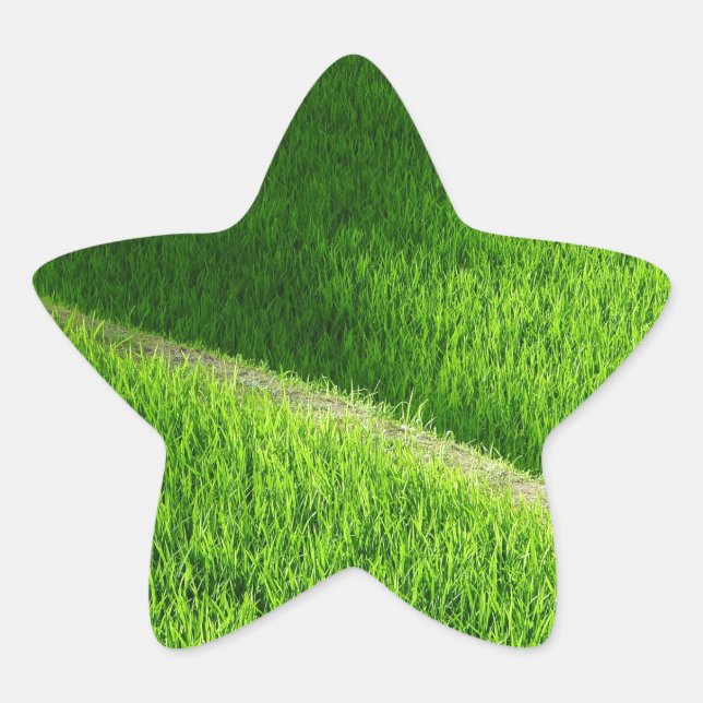 Reisterrassen Yamadas Reisfelder Japan Stern-Aufkleber (Vorderseite)