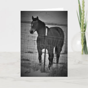 "Reit Auf Deinem Hoßpferd" Geburtstagskarte Karte