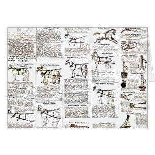 Reitantike Werbung Kunst