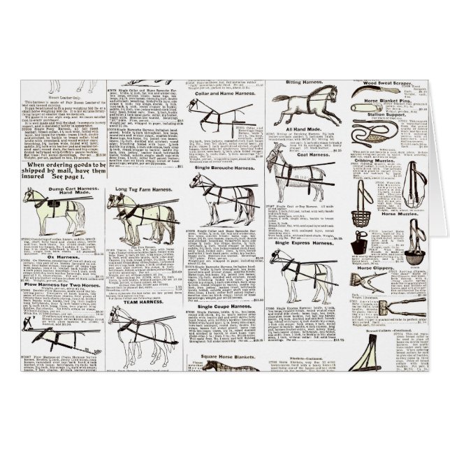 Reitantike Werbung Kunst (Vorderseite (Horizontal))