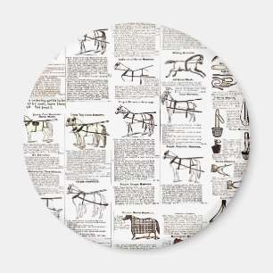 Reitantike Werbung Kunst Magnet