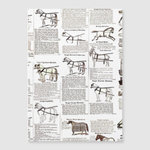 Reitantike Werbung Kunst Magnetkarte