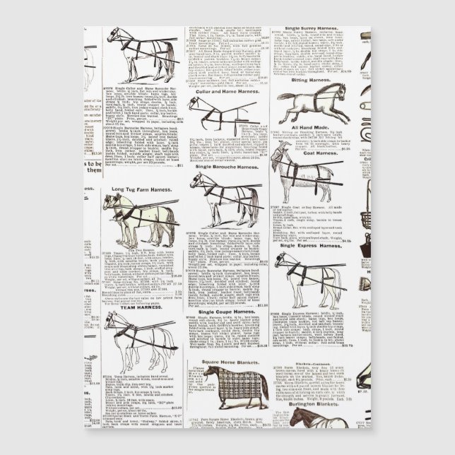 Reitantike Werbung Kunst Magnetkarte (Vorderseite)