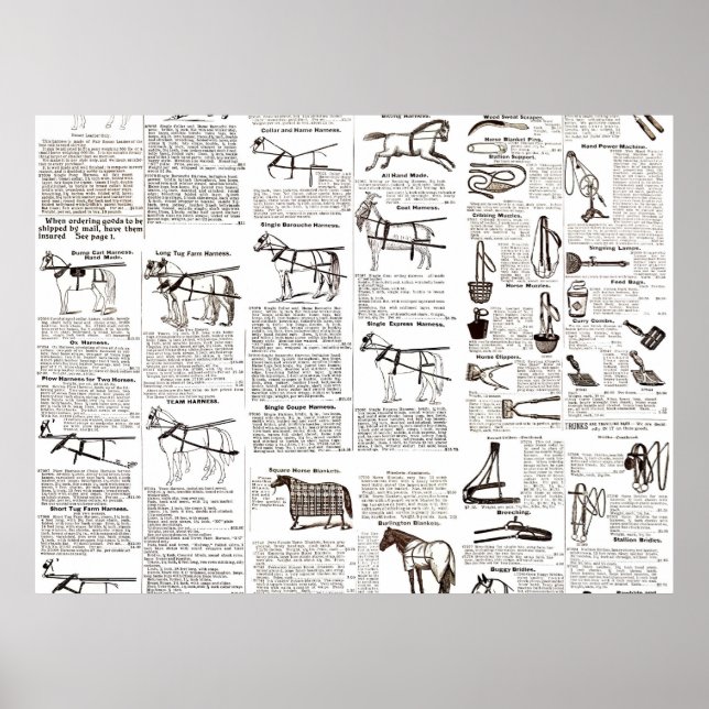 Reitantike Werbung Kunst Poster (Vorne)