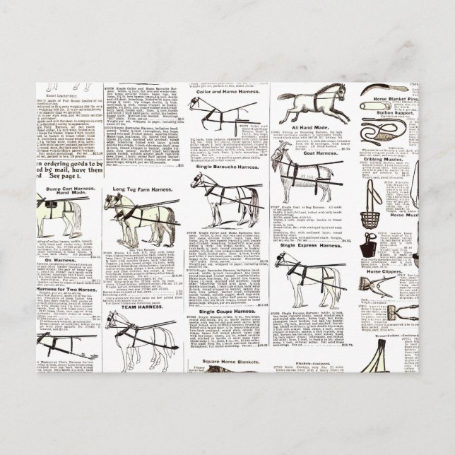 Reitantike Werbung Kunst Postkarte (Vorderseite)