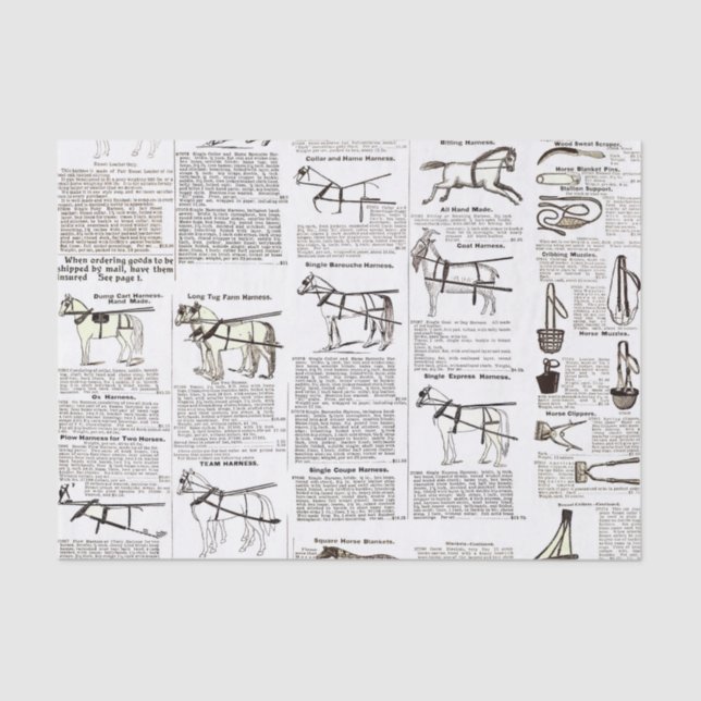 Reitantike Werbung Kunst Seidenpapier (Vorderseite)