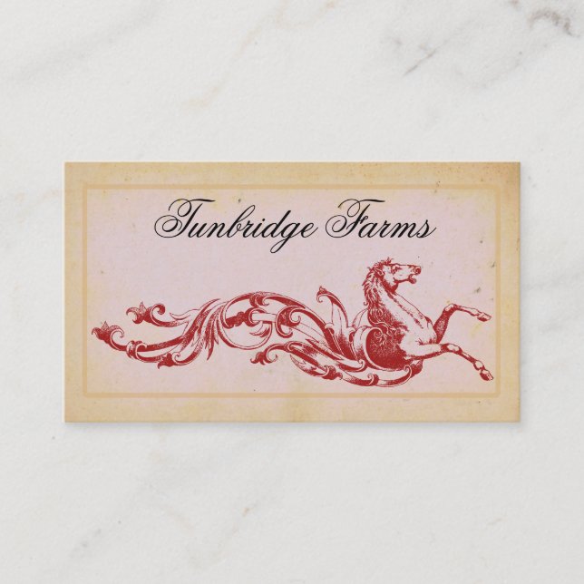 Reiten Boarding Business Cards Visitenkarte (Vorderseite)