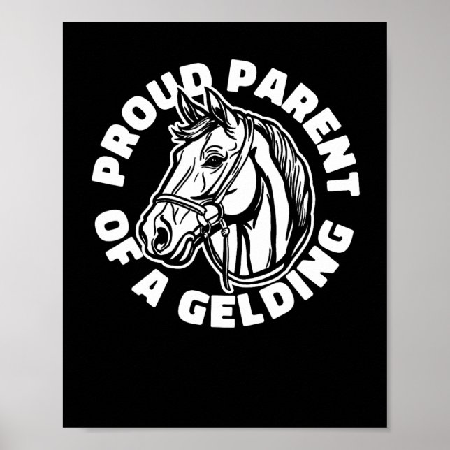 Reiten Gelding - Reiten Poster (Vorne)