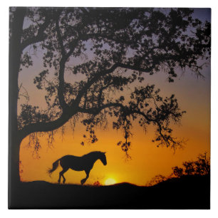 Reiten und Eichen Fliese