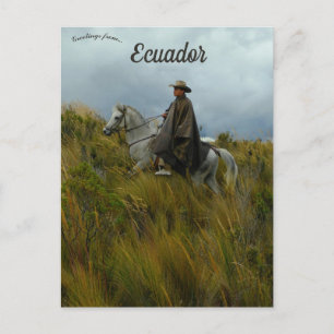 Reiter und Pferd in Cotopaxi Ecuador Postkarte