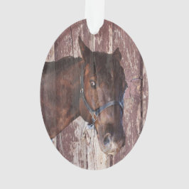 Reitpferd, das mich mit seinen Augen ansieht Ornament