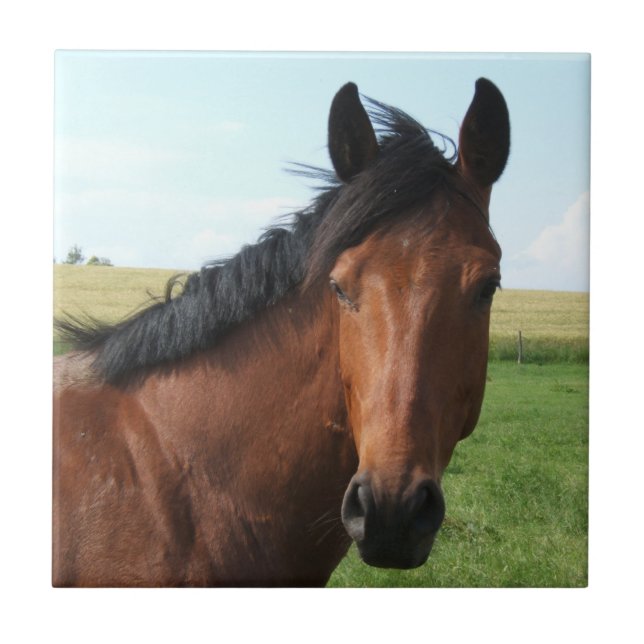 Reitpferd Fliese (Vorderseite)