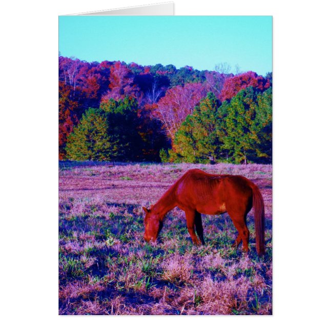 Reitpferd im Lila Gras (Vorne)