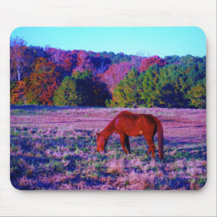 Reitpferd im Lila Gras Mousepad