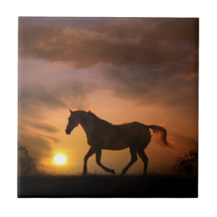 Reitpferd im Sonnenaufgang Art Tile Fliese