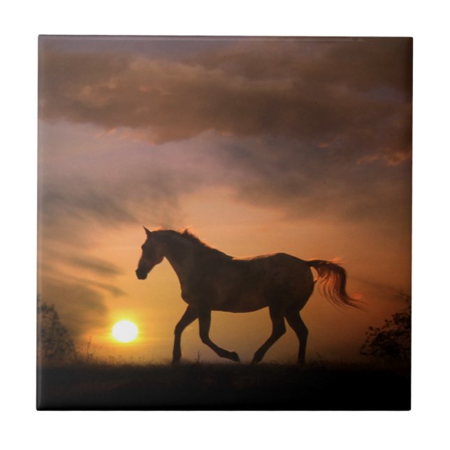 Reitpferd im Sonnenaufgang Art Tile Fliese (Vorderseite)