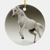 Reitpferd