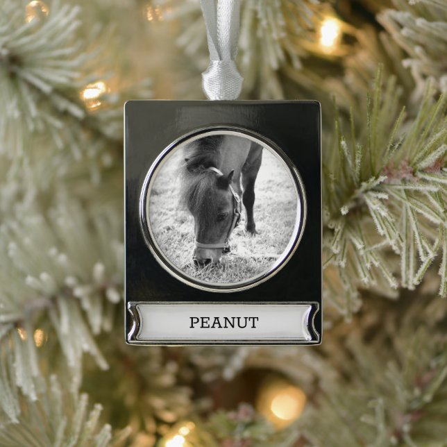 Reitpferd Lover FOTO NAME Keepake Banner-Ornament Silber (Baum)
