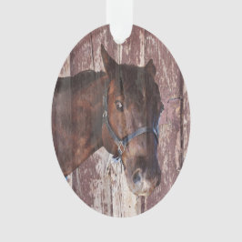 Reitpferd mit braunen Augen sieht mich an Ornament