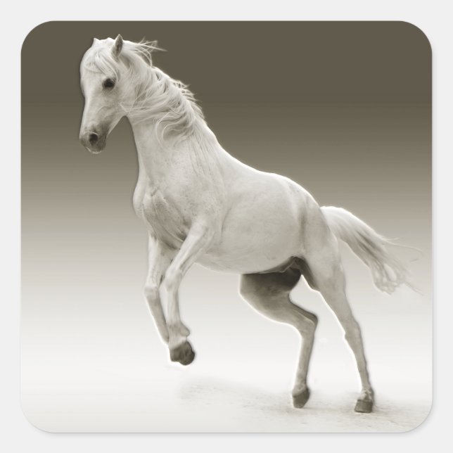 Reitpferd Quadratischer Aufkleber (Vorderseite)