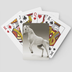 Reitpferd Spielkarten