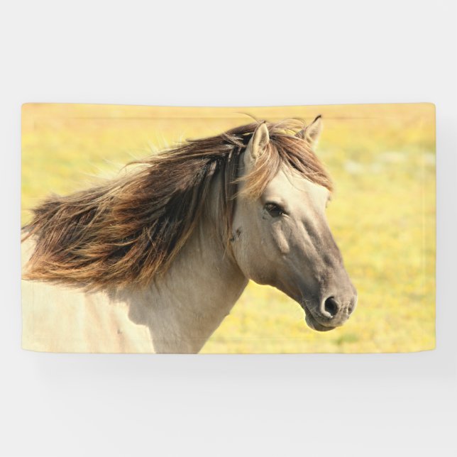 Reitprofil Banner (Horizontal)