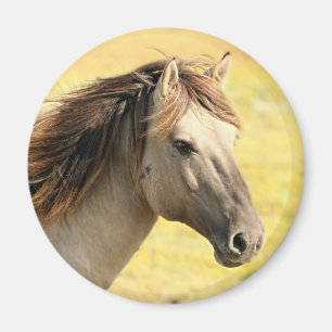 Reitprofil Magnet